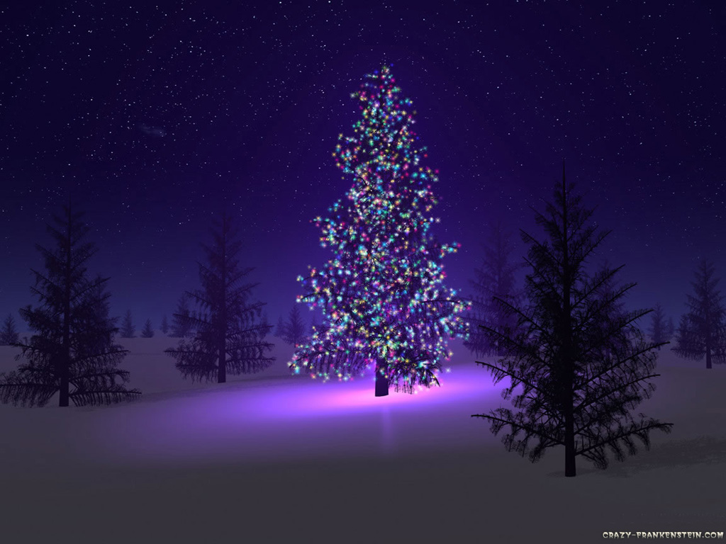 beautiful christmas trees screen